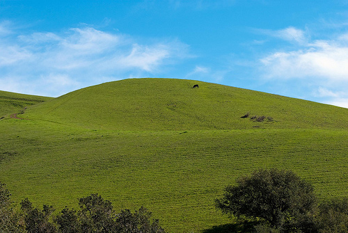 A Green Hill